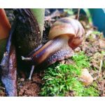 Zdjęcia użytkowników Sony Xperia 5 II Zdjęcia użytkowników Sony Xperia 5 II