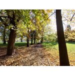 Zdjęcia użytkowników Sony Xperia 5 II Zdjęcia użytkowników Sony Xperia 5 II