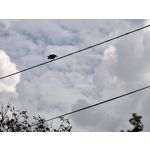 Zdjęcia użytkowników Sony Xperia 5 III