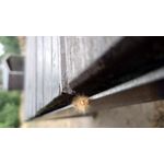 ZDJĘCIA Z TEGO TELEFONU