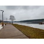 ZDJĘCIA Z TEGO TELEFONU