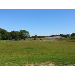 ZDJĘCIA Z TEGO TELEFONU ZDJĘCIA Z TEGO TELEFONU