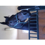 ZDJĘCIA Z TEGO TELEFONU ZDJĘCIA Z TEGO TELEFONU