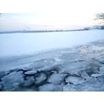 Zdjęcia użytkowników Sony Xperia C4