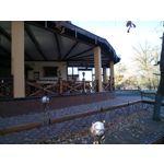 Zdjęcia użytkowników Sony Xperia C4