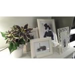 Zdjęcia użytkowników Sony Xperia E3 Zdjęcia użytkowników Sony Xperia E3