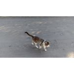 Zdjęcia użytkowników Sony Xperia E4 Zdjęcia użytkowników Sony Xperia E4