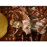 Zdjęcia użytkowników Sony Xperia E4 Zdjęcia użytkowników Sony Xperia E4