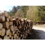 Zdjęcia użytkowników Sony Xperia E4 Zdjęcia użytkowników Sony Xperia E4