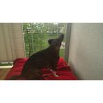 Zdjęcia użytkowników Sony Xperia M2 D2305