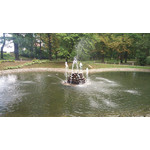 Zdjęcia użytkowników Sony Xperia M2 D2305