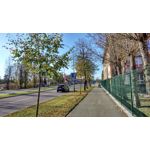 Zdjęcia użytkowników Sony Xperia M2 LTE Zdjęcia użytkowników Sony Xperia M2 LTE