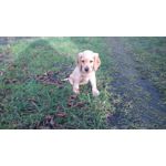 Zdjęcia użytkowników Sony Xperia M2 LTE Zdjęcia użytkowników Sony Xperia M2 LTE