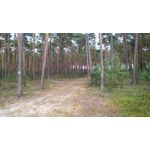 Zdjęcia użytkowników Sony Xperia M2 LTE Zdjęcia użytkowników Sony Xperia M2 LTE