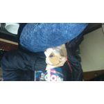 Zdjęcia użytkowników Sony Xperia M2 LTE Zdjęcia użytkowników Sony Xperia M2 LTE