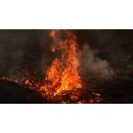 Zdjęcia użytkowników Sony Xperia M2 LTE Zdjęcia użytkowników Sony Xperia M2 LTE