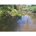 Zdjęcia użytkowników Sony Xperia M4 Aqua Zdjęcia użytkowników Sony Xperia M4 Aqua