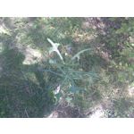 Zdjęcia użytkowników Sony Xperia M4 Aqua Zdjęcia użytkowników Sony Xperia M4 Aqua