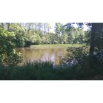 Zdjęcia użytkowników Sony Xperia M4 Aqua Zdjęcia użytkowników Sony Xperia M4 Aqua