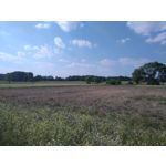 Zdjęcia użytkowników Sony Xperia M4 Aqua Zdjęcia użytkowników Sony Xperia M4 Aqua