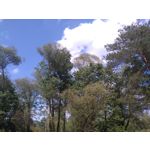 Zdjęcia użytkowników Sony Xperia M4 Aqua Zdjęcia użytkowników Sony Xperia M4 Aqua