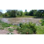 Zdjęcia użytkowników Sony Xperia M4 Aqua Zdjęcia użytkowników Sony Xperia M4 Aqua