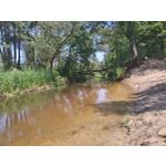 Zdjęcia użytkowników Sony Xperia M4 Aqua Zdjęcia użytkowników Sony Xperia M4 Aqua