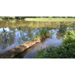 Zdjęcia użytkowników Sony Xperia M4 Aqua Zdjęcia użytkowników Sony Xperia M4 Aqua