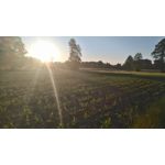 Zdjęcia użytkowników Sony Xperia M4 Aqua Zdjęcia użytkowników Sony Xperia M4 Aqua