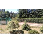 Zdjęcia użytkowników Sony Xperia M4 Aqua Zdjęcia użytkowników Sony Xperia M4 Aqua