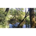 Zdjęcia użytkowników Sony Xperia M4 Aqua Zdjęcia użytkowników Sony Xperia M4 Aqua