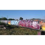 Zdjęcia użytkowników Sony Xperia M4 Aqua Zdjęcia użytkowników Sony Xperia M4 Aqua