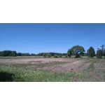 Zdjęcia użytkowników Sony Xperia M4 Aqua Zdjęcia użytkowników Sony Xperia M4 Aqua