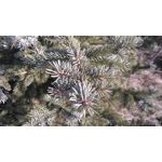 Zdjęcia użytkowników Sony Xperia M4 Aqua Zdjęcia użytkowników Sony Xperia M4 Aqua