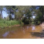 Zdjęcia użytkowników Sony Xperia M4 Aqua Zdjęcia użytkowników Sony Xperia M4 Aqua