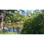 Zdjęcia użytkowników Sony Xperia M4 Aqua Zdjęcia użytkowników Sony Xperia M4 Aqua