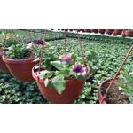 Zdjęcia użytkowników Sony Xperia M4 Aqua Zdjęcia użytkowników Sony Xperia M4 Aqua