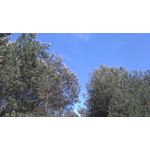 Zdjęcia użytkowników Sony Xperia M4 Aqua Zdjęcia użytkowników Sony Xperia M4 Aqua