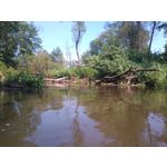 Zdjęcia użytkowników Sony Xperia M4 Aqua Zdjęcia użytkowników Sony Xperia M4 Aqua