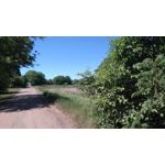 Zdjęcia użytkowników Sony Xperia M4 Aqua Zdjęcia użytkowników Sony Xperia M4 Aqua