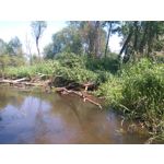 Zdjęcia użytkowników Sony Xperia M4 Aqua Zdjęcia użytkowników Sony Xperia M4 Aqua