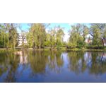 Zdjęcia użytkowników Sony Xperia M4 Aqua Zdjęcia użytkowników Sony Xperia M4 Aqua