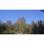 Zdjęcia użytkowników Sony Xperia M4 Aqua Zdjęcia użytkowników Sony Xperia M4 Aqua