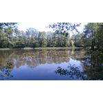 Zdjęcia użytkowników Sony Xperia M4 Aqua Zdjęcia użytkowników Sony Xperia M4 Aqua