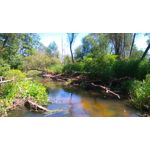 Zdjęcia użytkowników Sony Xperia M4 Aqua Zdjęcia użytkowników Sony Xperia M4 Aqua