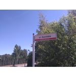 Zdjęcia użytkowników Sony Xperia M4 Aqua Zdjęcia użytkowników Sony Xperia M4 Aqua