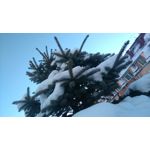 Zdjęcia użytkowników Sony Xperia M4 Aqua Zdjęcia użytkowników Sony Xperia M4 Aqua