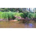 Zdjęcia użytkowników Sony Xperia M4 Aqua Zdjęcia użytkowników Sony Xperia M4 Aqua