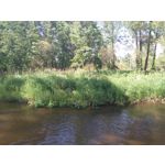 Zdjęcia użytkowników Sony Xperia M4 Aqua Zdjęcia użytkowników Sony Xperia M4 Aqua