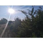 Zdjęcia użytkowników Sony Xperia M4 Aqua Zdjęcia użytkowników Sony Xperia M4 Aqua